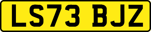 LS73BJZ