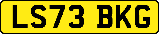 LS73BKG