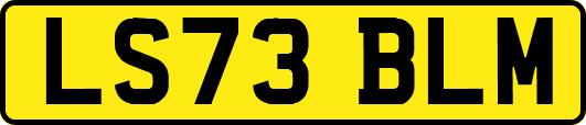 LS73BLM