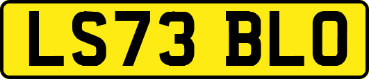 LS73BLO