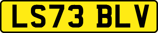 LS73BLV