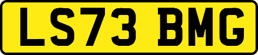LS73BMG