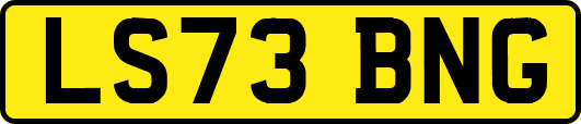 LS73BNG