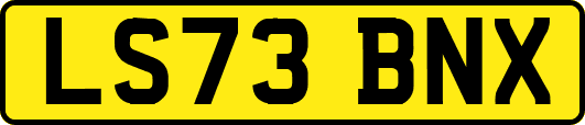 LS73BNX