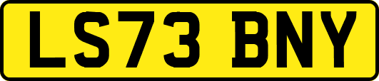 LS73BNY