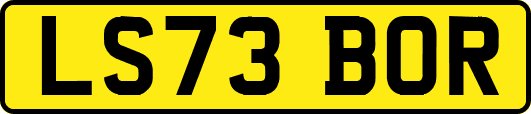 LS73BOR