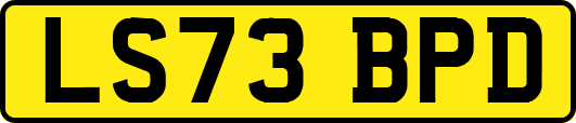 LS73BPD