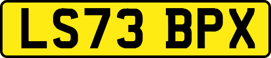 LS73BPX