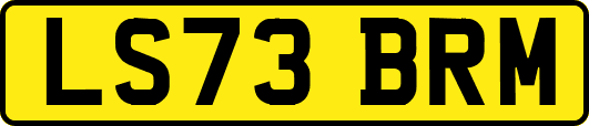 LS73BRM