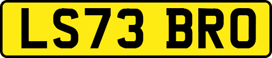 LS73BRO