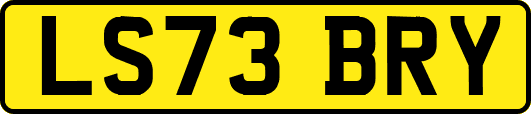 LS73BRY
