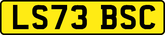 LS73BSC
