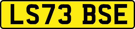LS73BSE