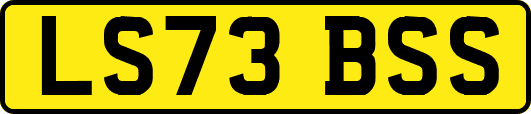 LS73BSS
