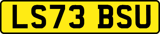 LS73BSU