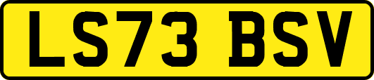 LS73BSV