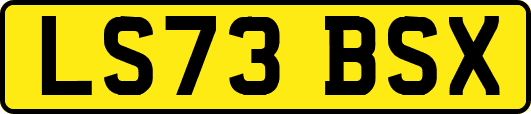 LS73BSX