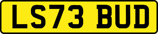 LS73BUD