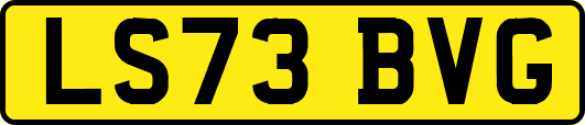 LS73BVG