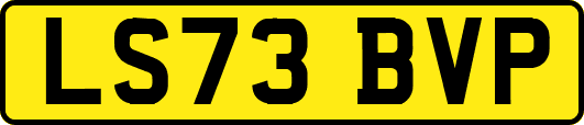 LS73BVP