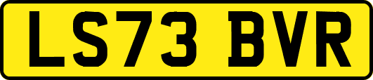 LS73BVR