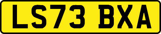 LS73BXA