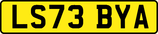 LS73BYA