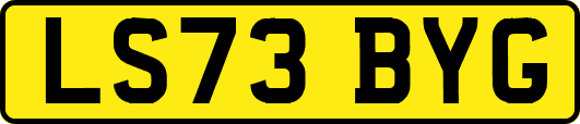 LS73BYG
