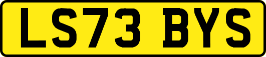 LS73BYS
