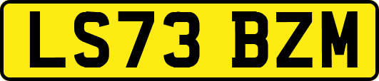 LS73BZM