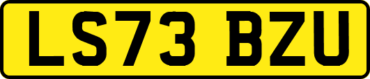 LS73BZU