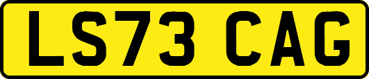 LS73CAG