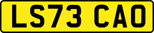LS73CAO