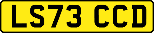 LS73CCD