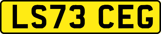 LS73CEG