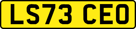 LS73CEO