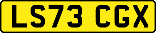 LS73CGX
