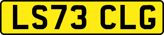 LS73CLG