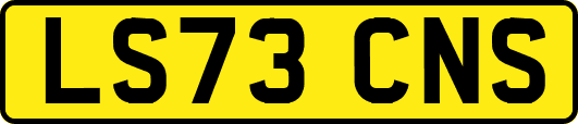 LS73CNS