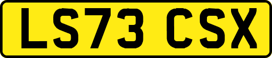 LS73CSX