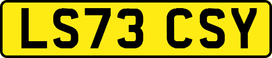 LS73CSY