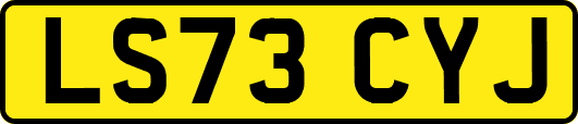 LS73CYJ