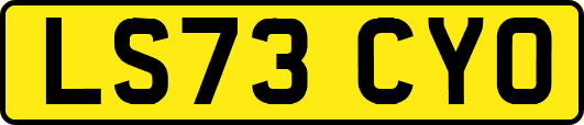 LS73CYO