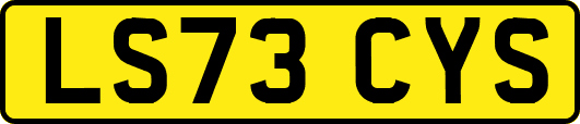 LS73CYS