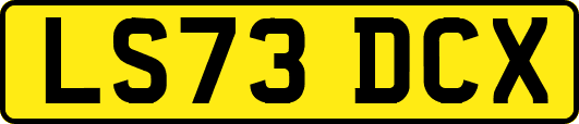 LS73DCX