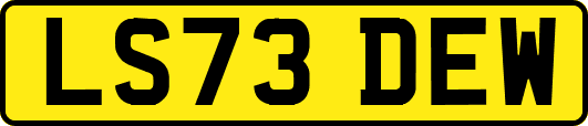 LS73DEW