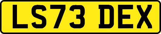 LS73DEX