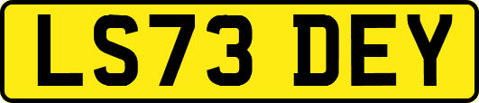 LS73DEY
