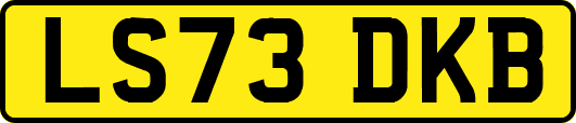 LS73DKB