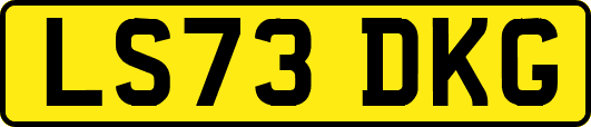 LS73DKG
